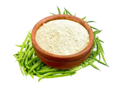gomme de guar maroc